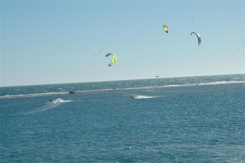 Kitestock