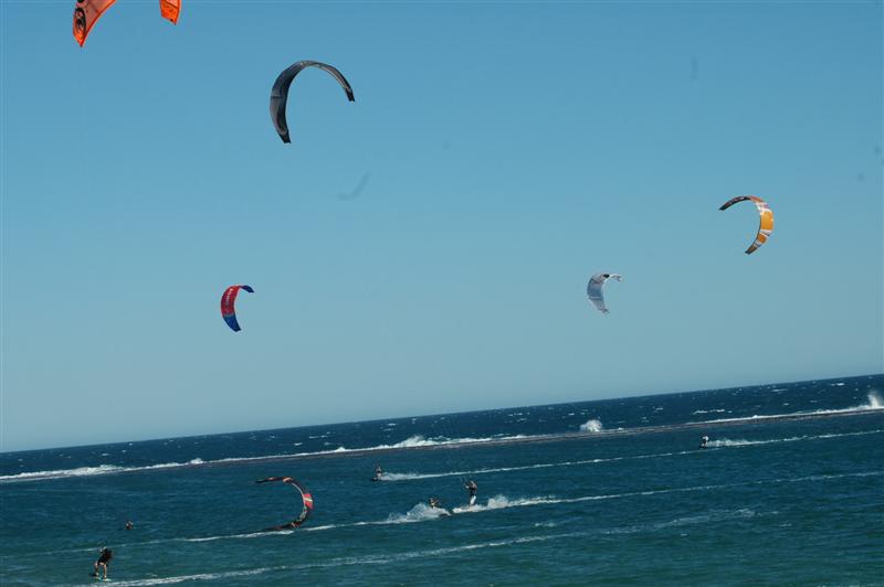 Kitestock
