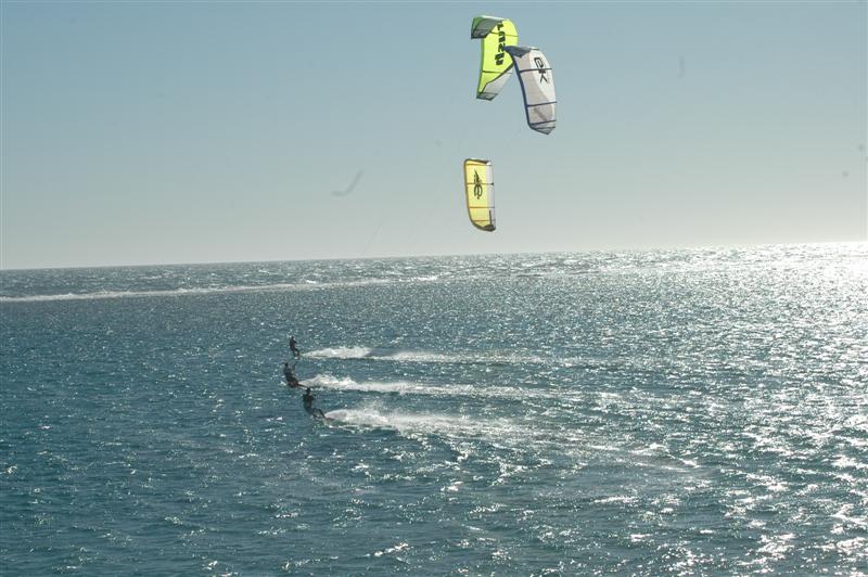 Kitestock