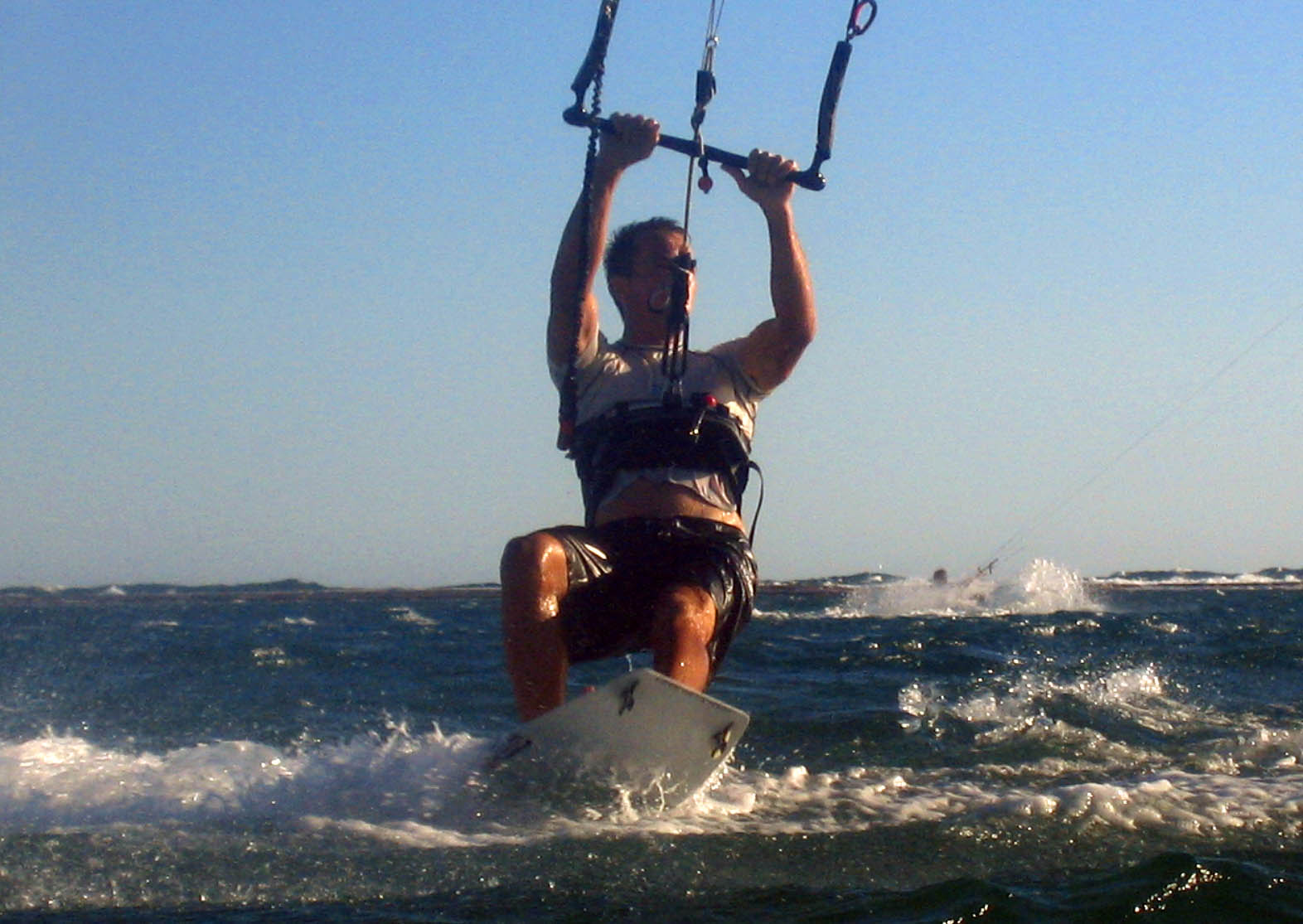 Kitestock