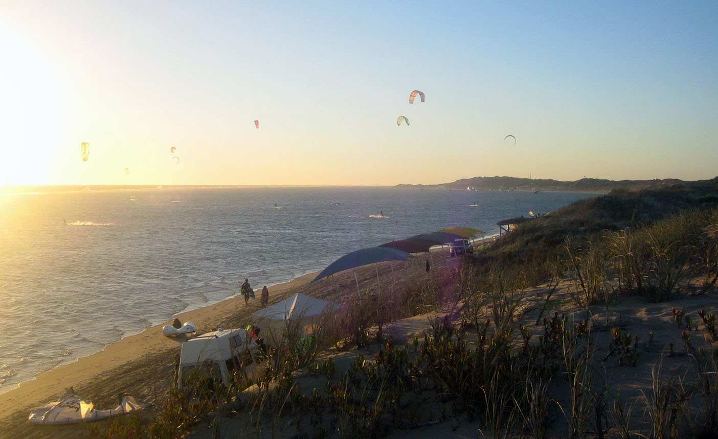 Kitestock