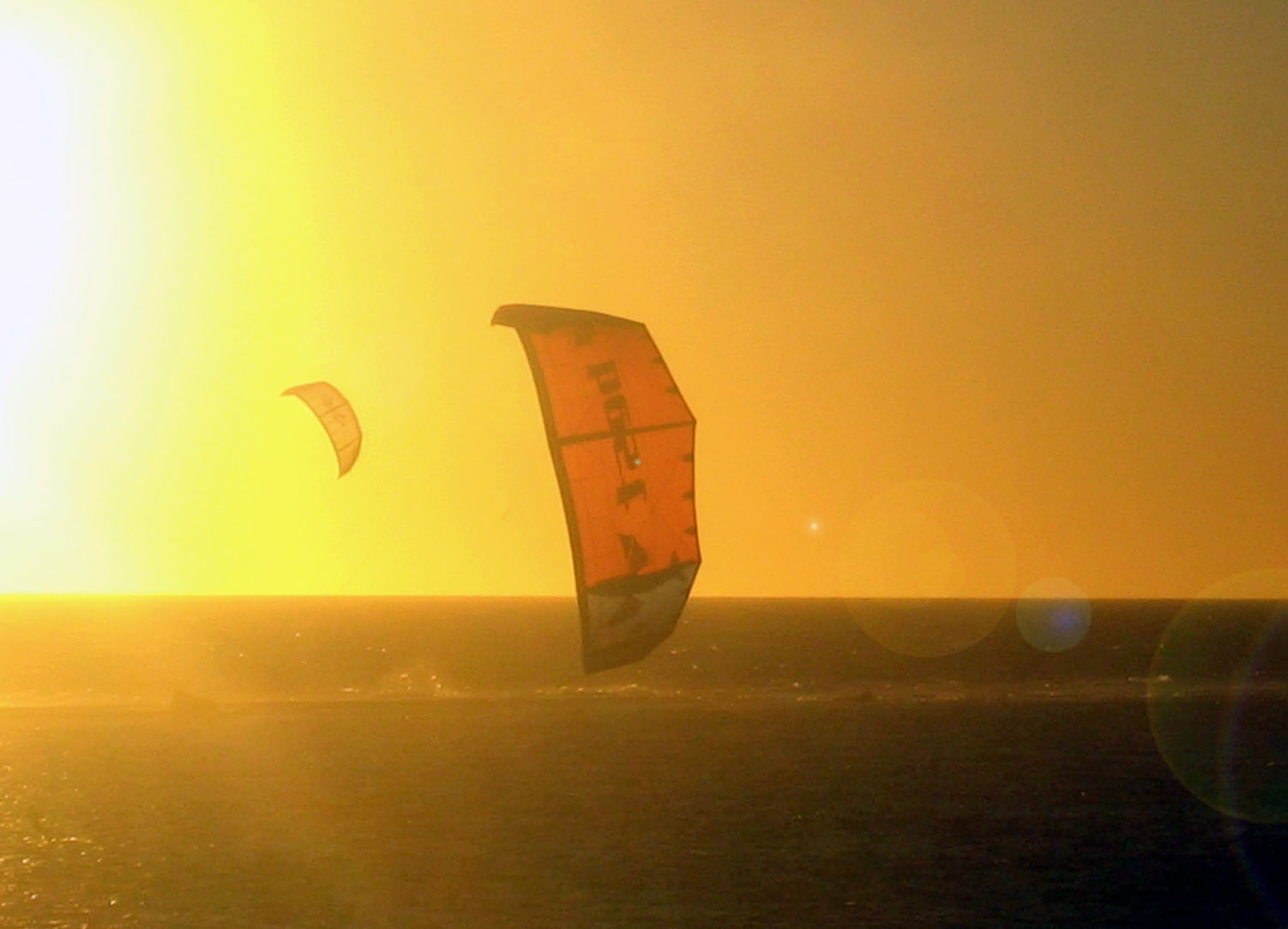 Kitestock