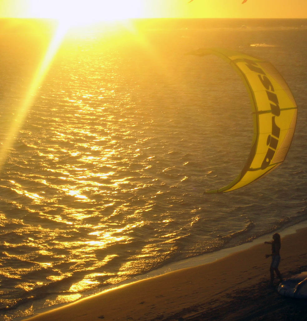 Kitestock