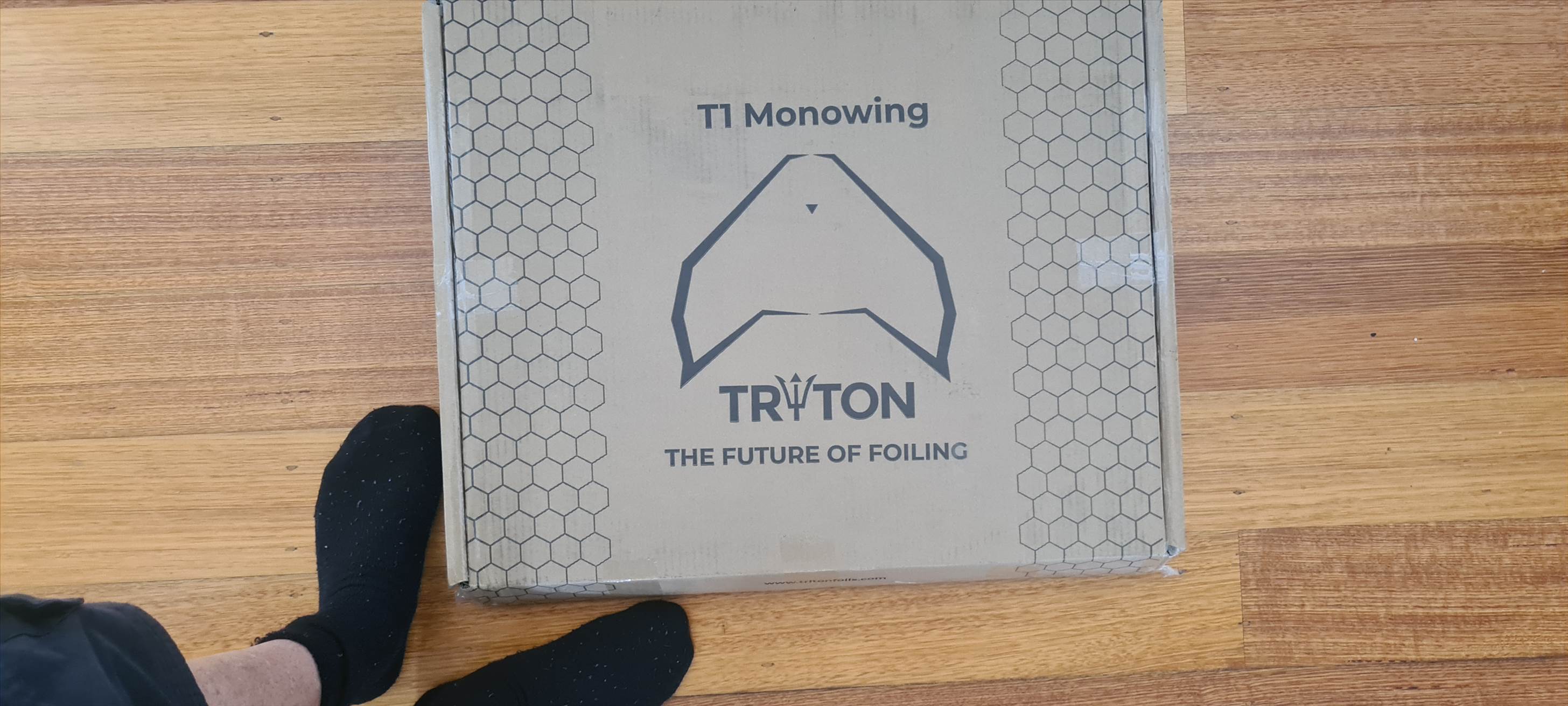 T1 Triton foil Mono-wing