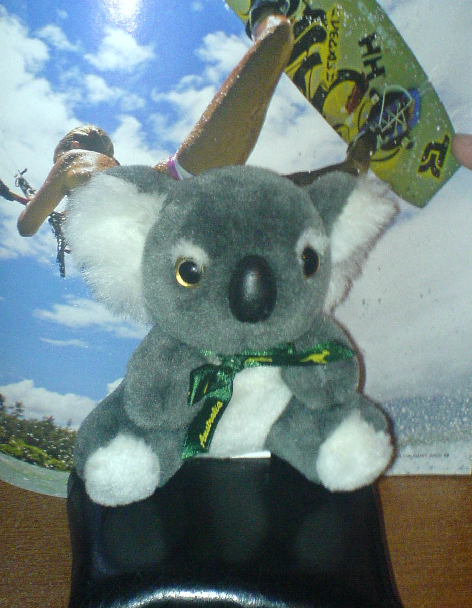 Humpfree Beer Bear