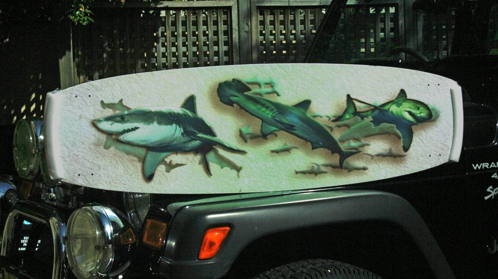 Sharky pre-test