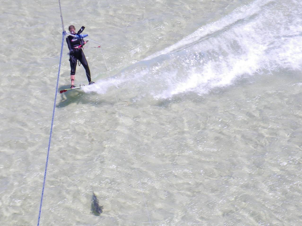 kite cam shark