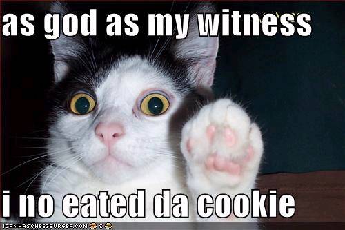 kool 4 cats