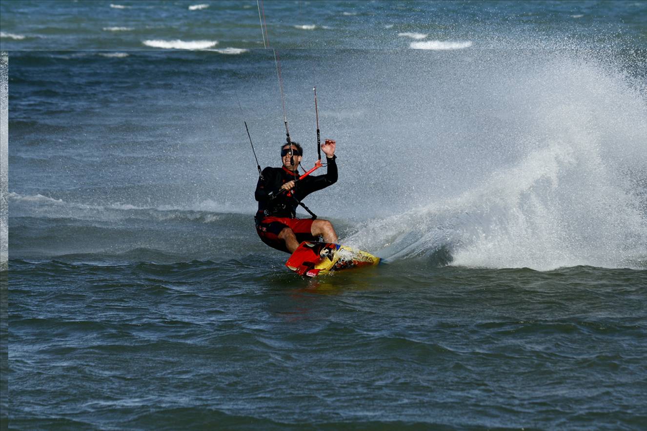 surfari