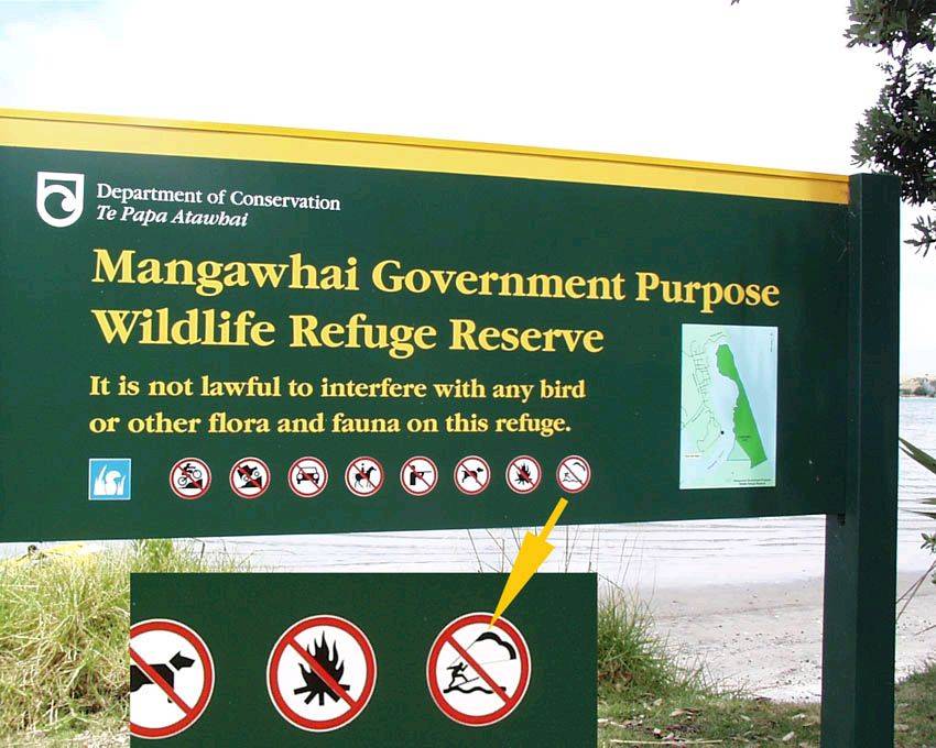 Kite ban at Mangawhai
