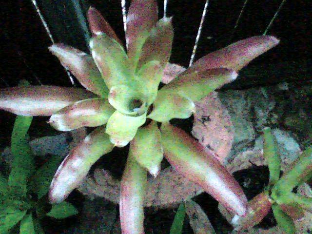 Image009