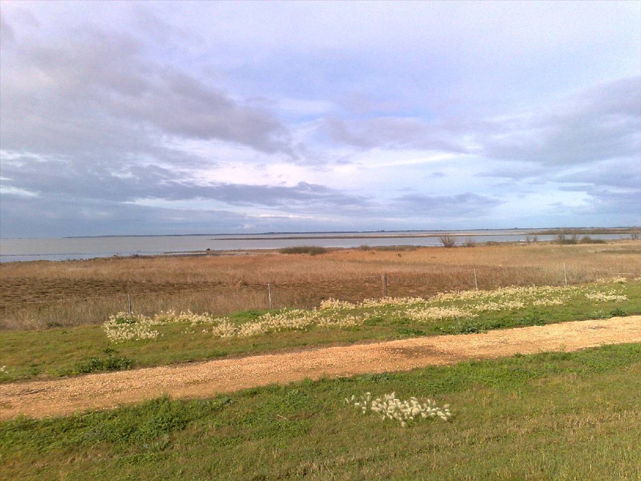 Milang1