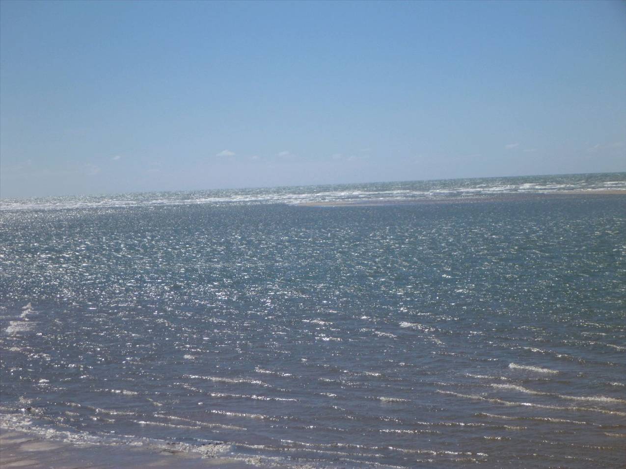 alva 2010 006