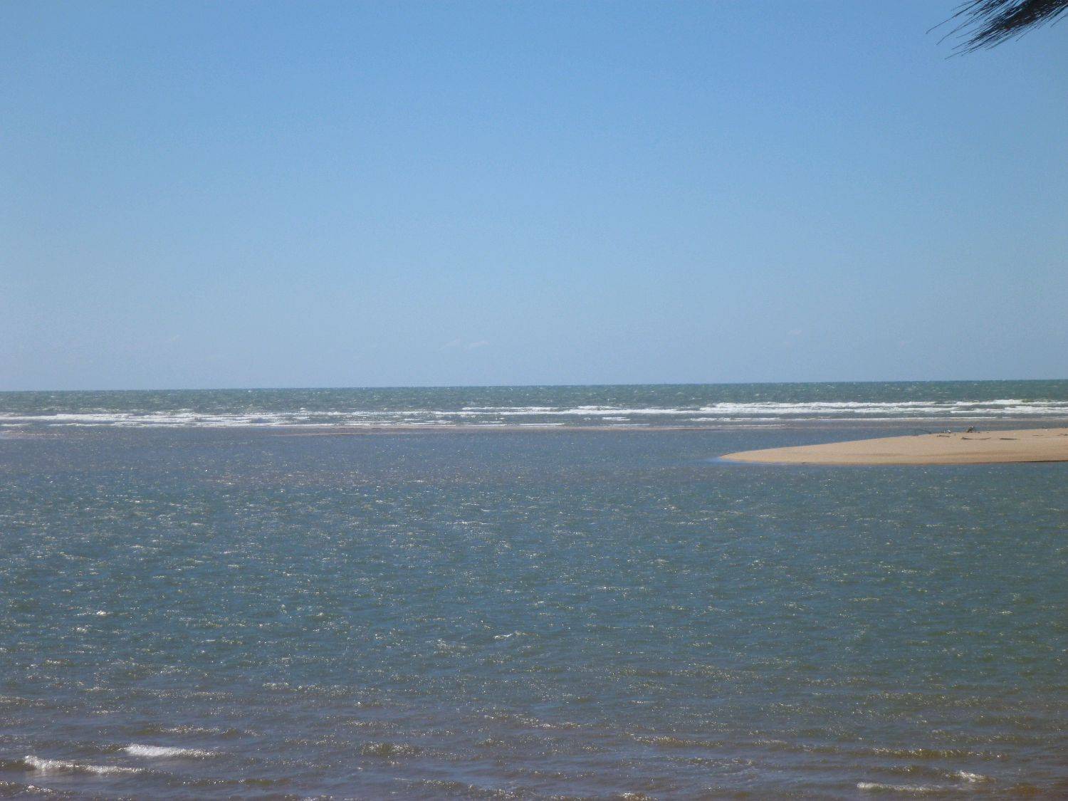 alva 2010 005