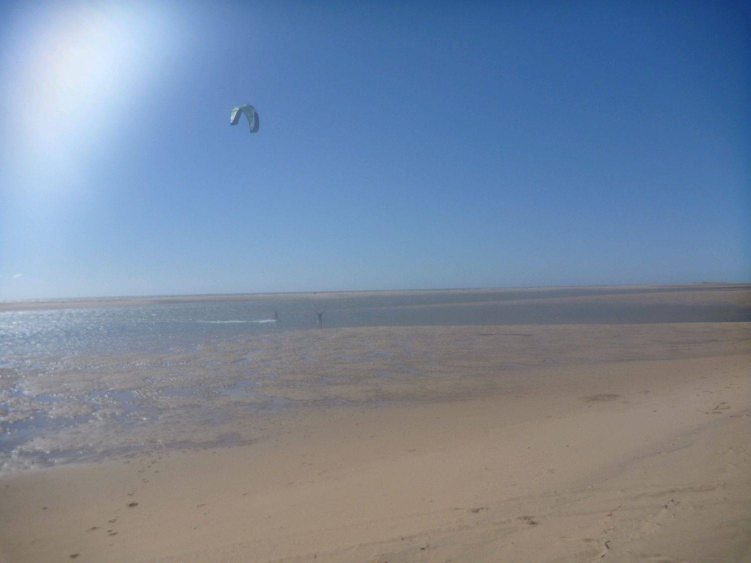 alva 2010 001