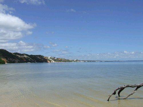 elimbeach