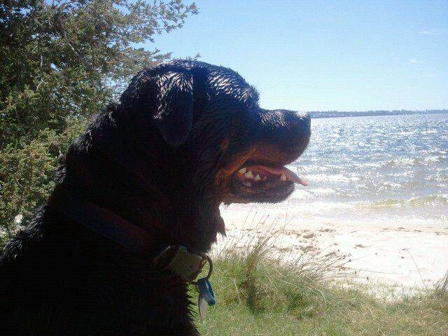 Ruby