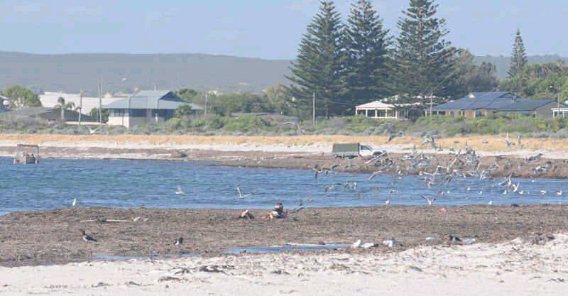 bogged at lano