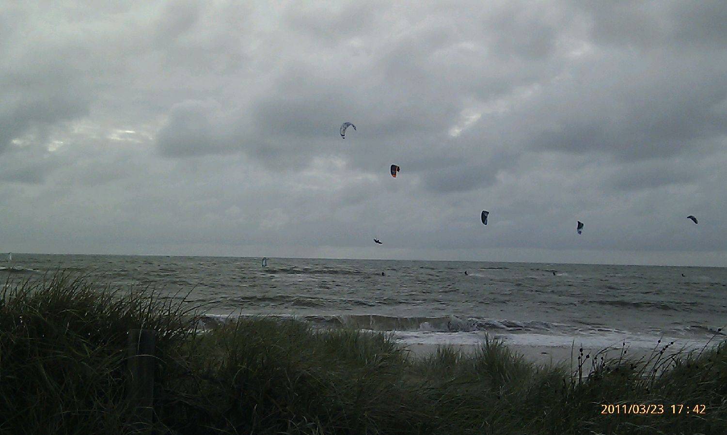 Seacliff5
