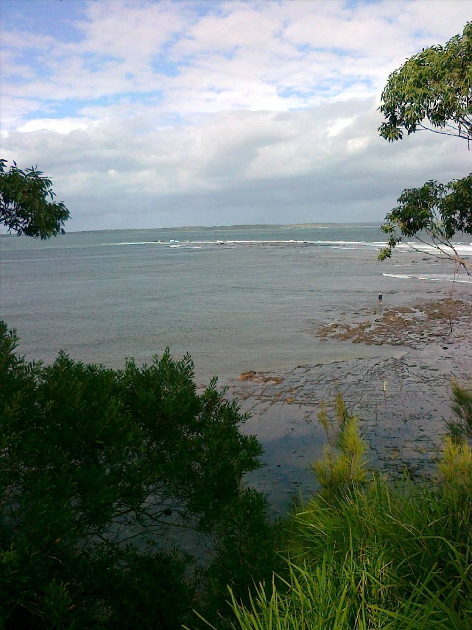 callala bay 20 knt southerly