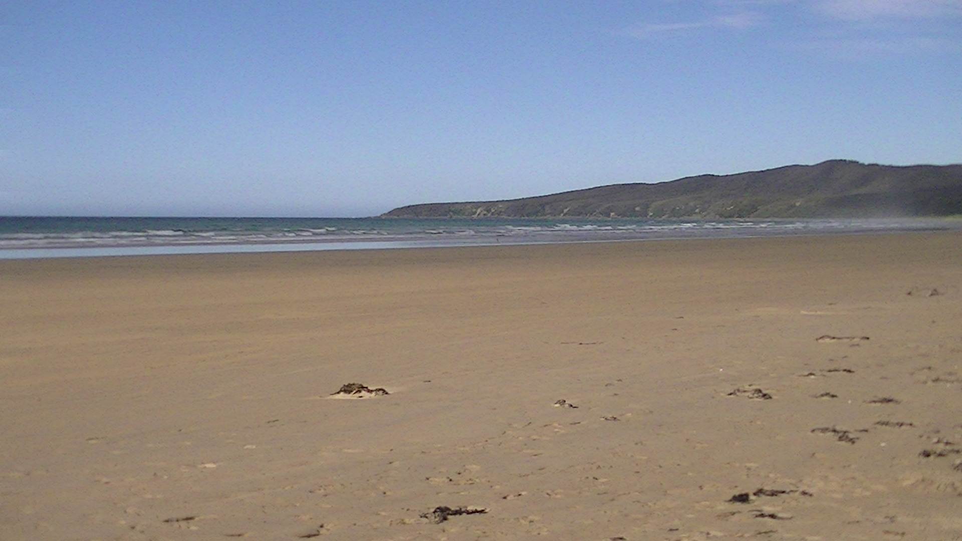 PIC 0034