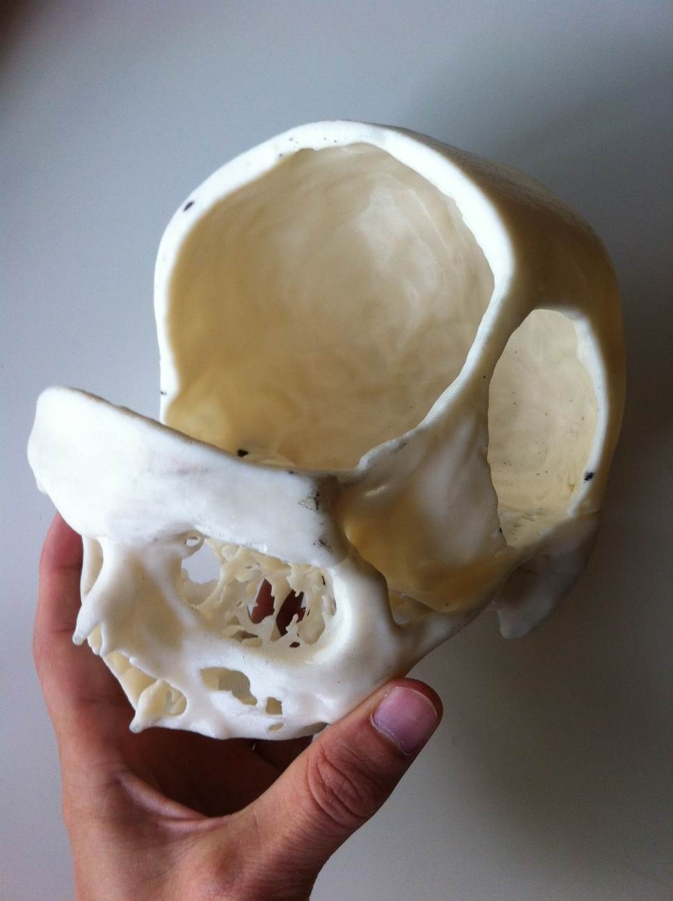 skull4