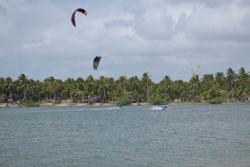  DSC0339