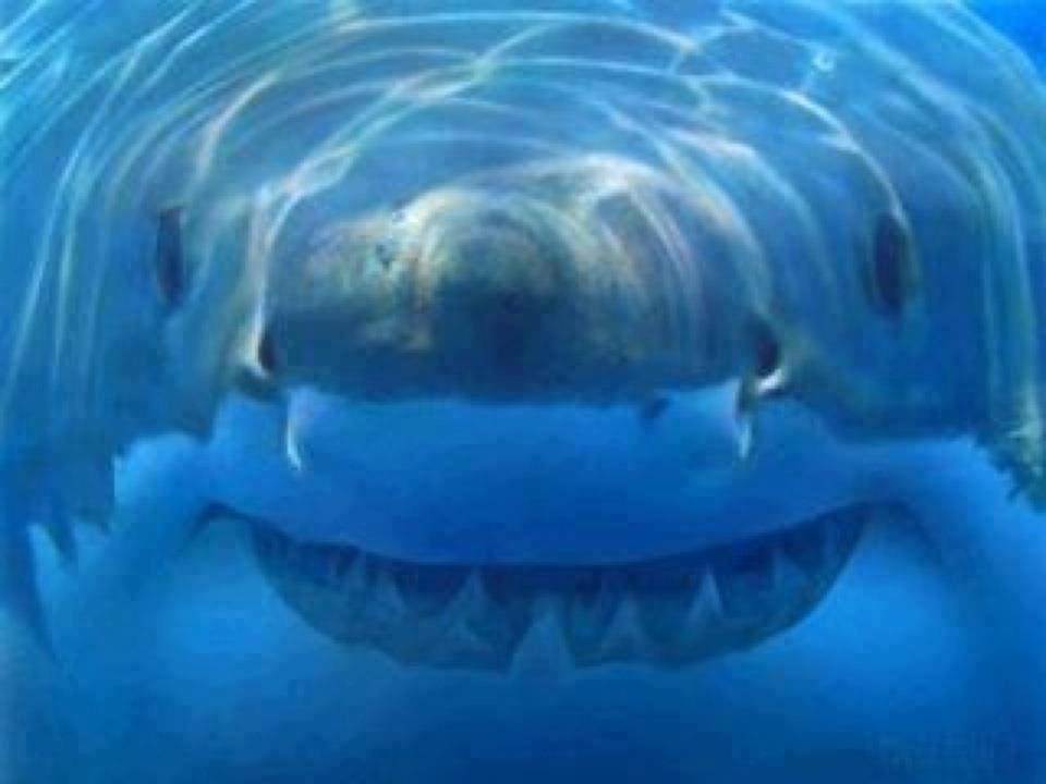 526166 380412462014852 1040109216 n