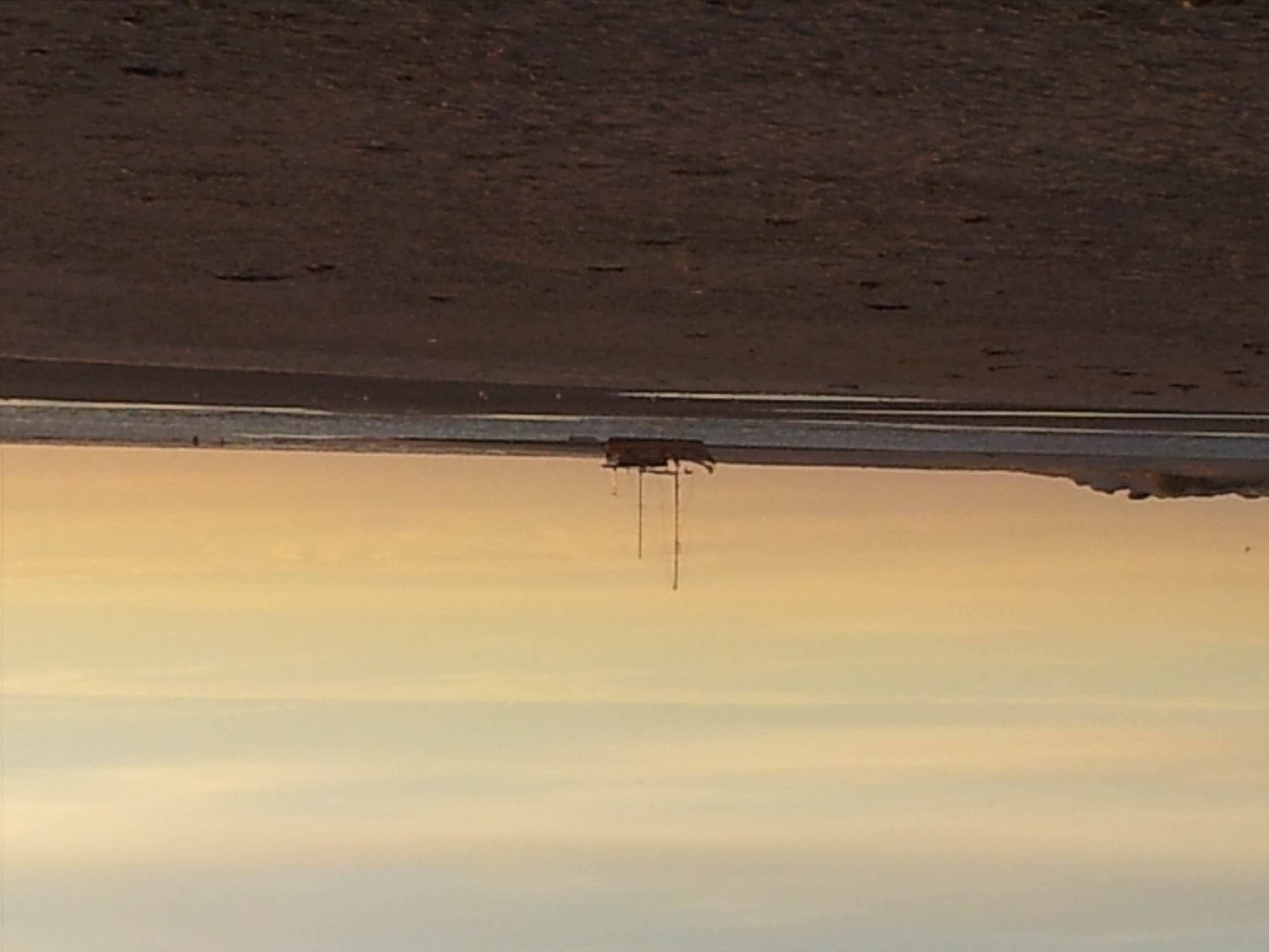 20121226 202214