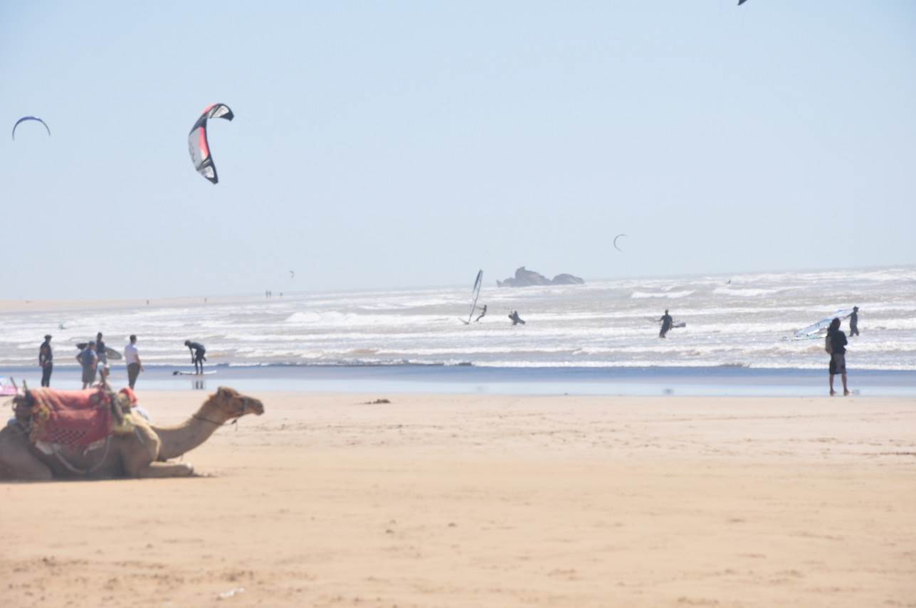 Essaouira locals