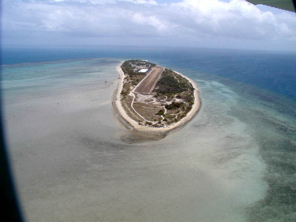 Coconut island