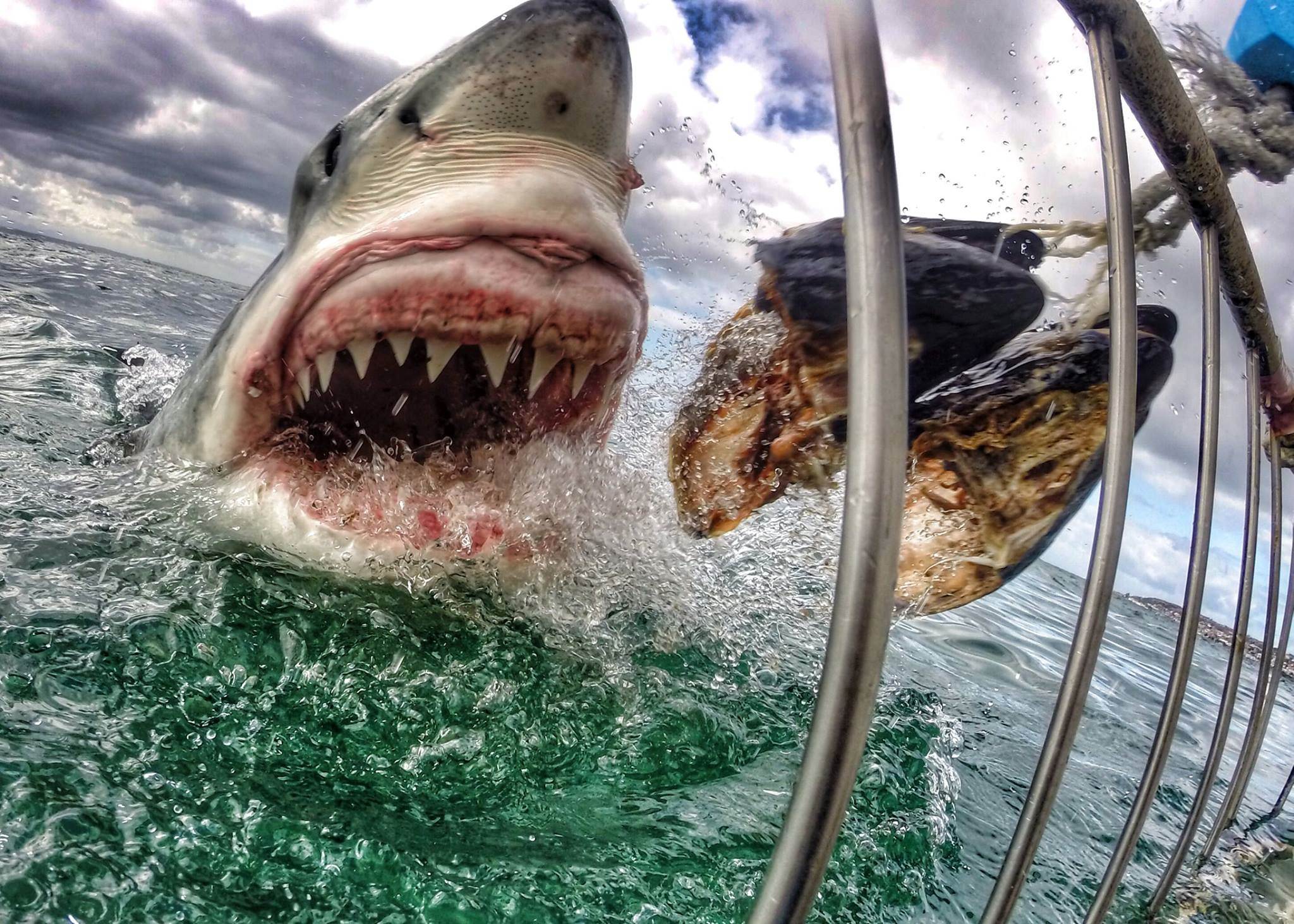 https://www.facebook.com/gopro/photos/a.383457956918.165320.50043151918/10152573612306919/?type=1&th