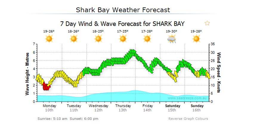 shark bay