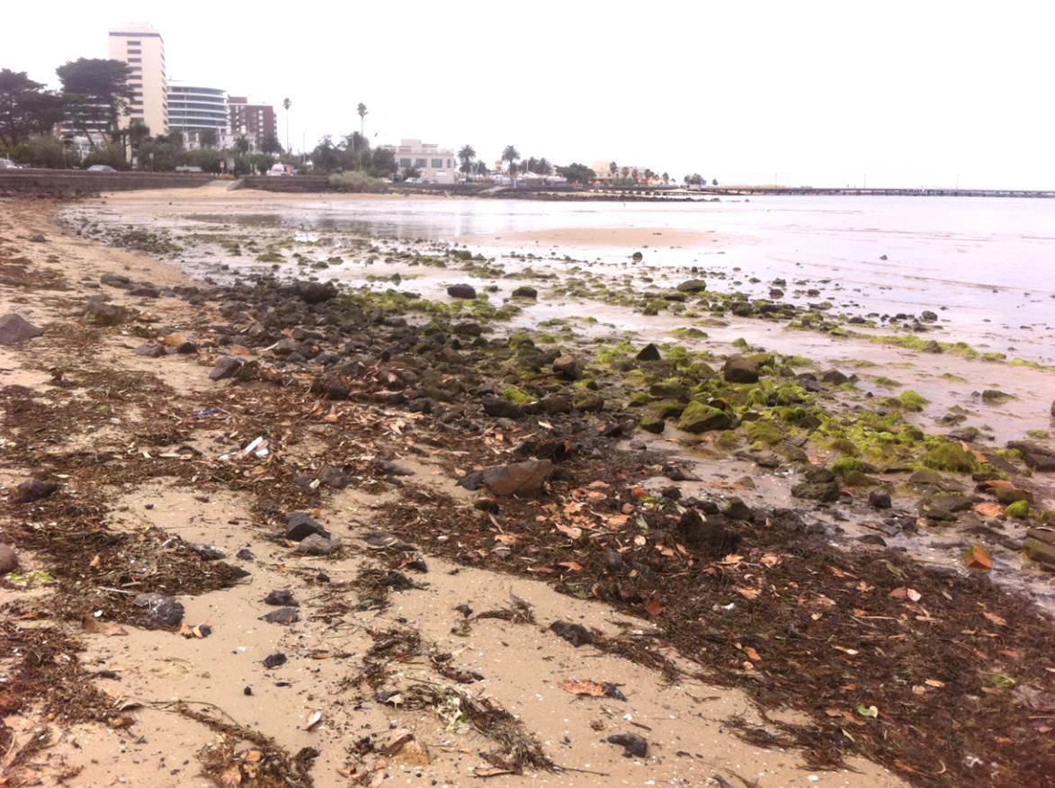 rocks stkilda p3