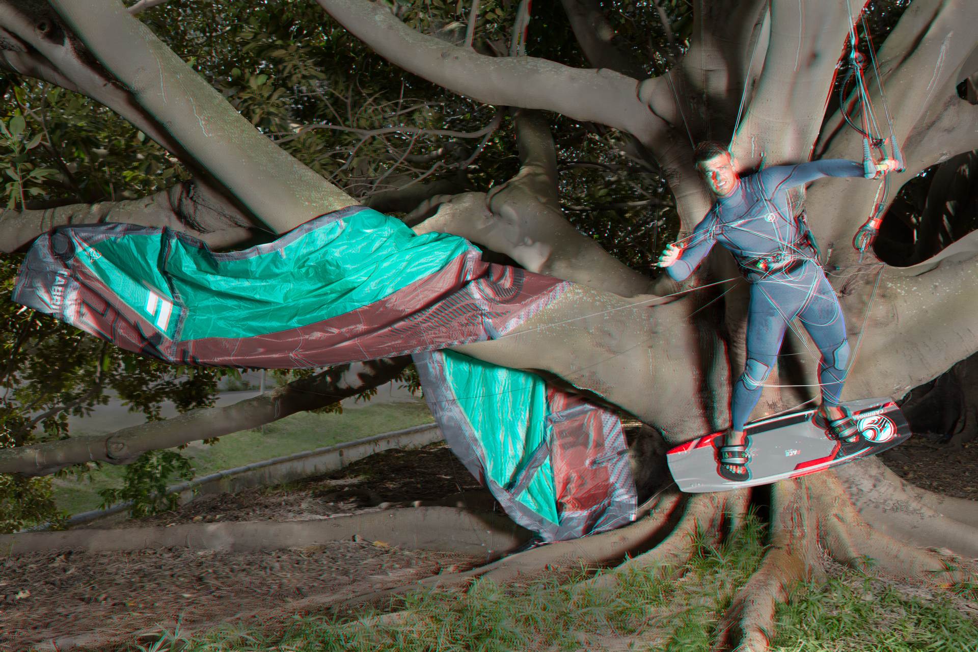 Tree Dangling!