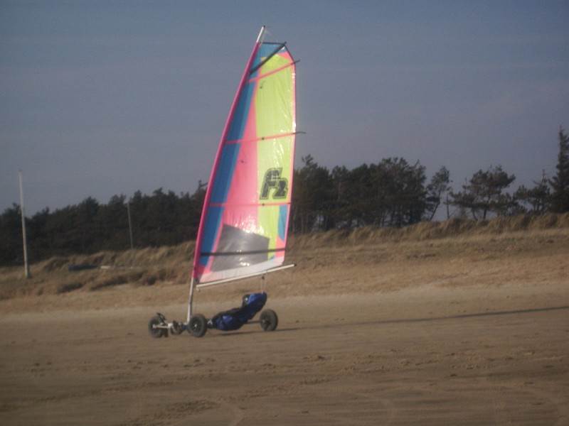 DSCI0056