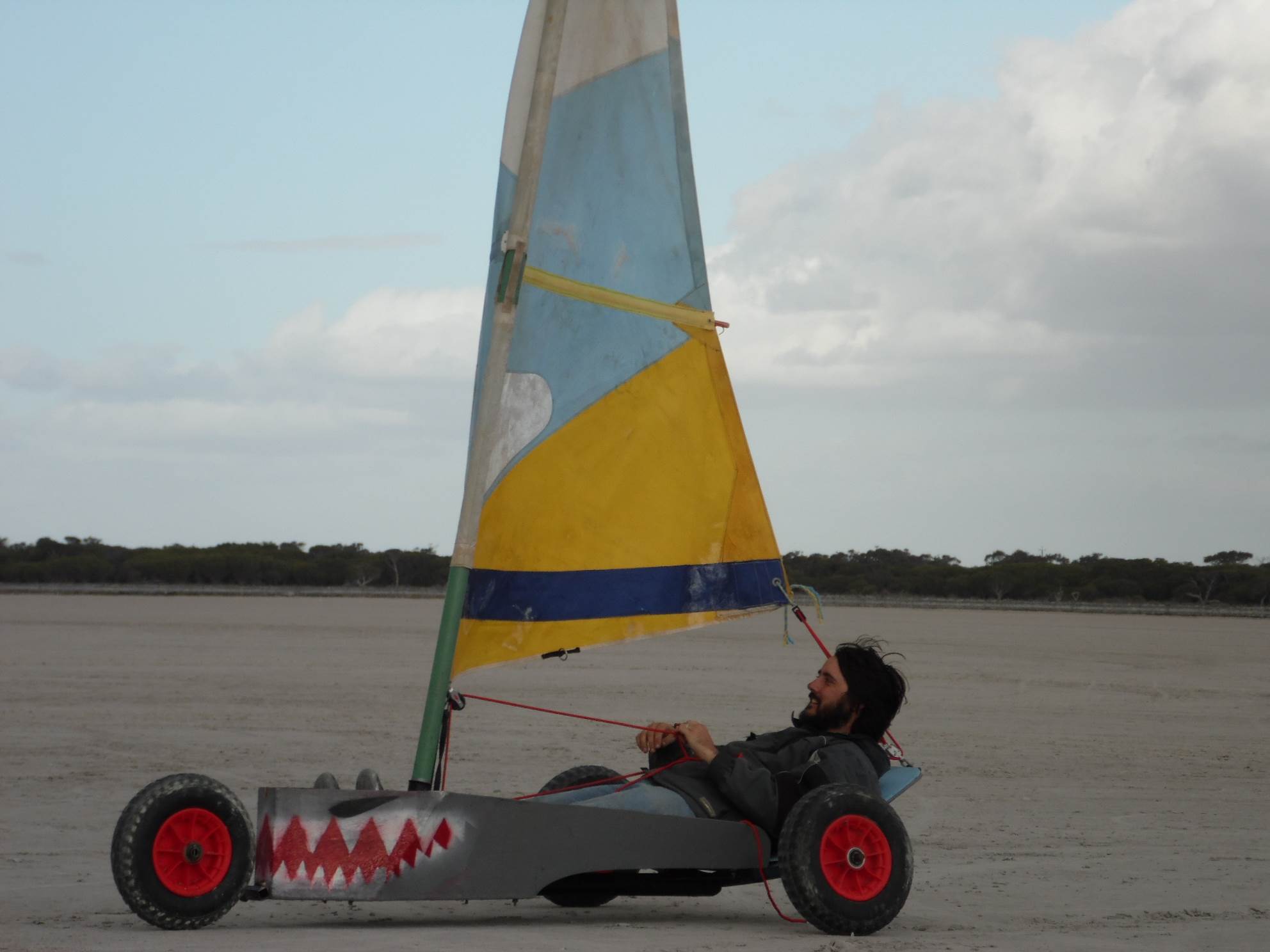 Shark tooth mini