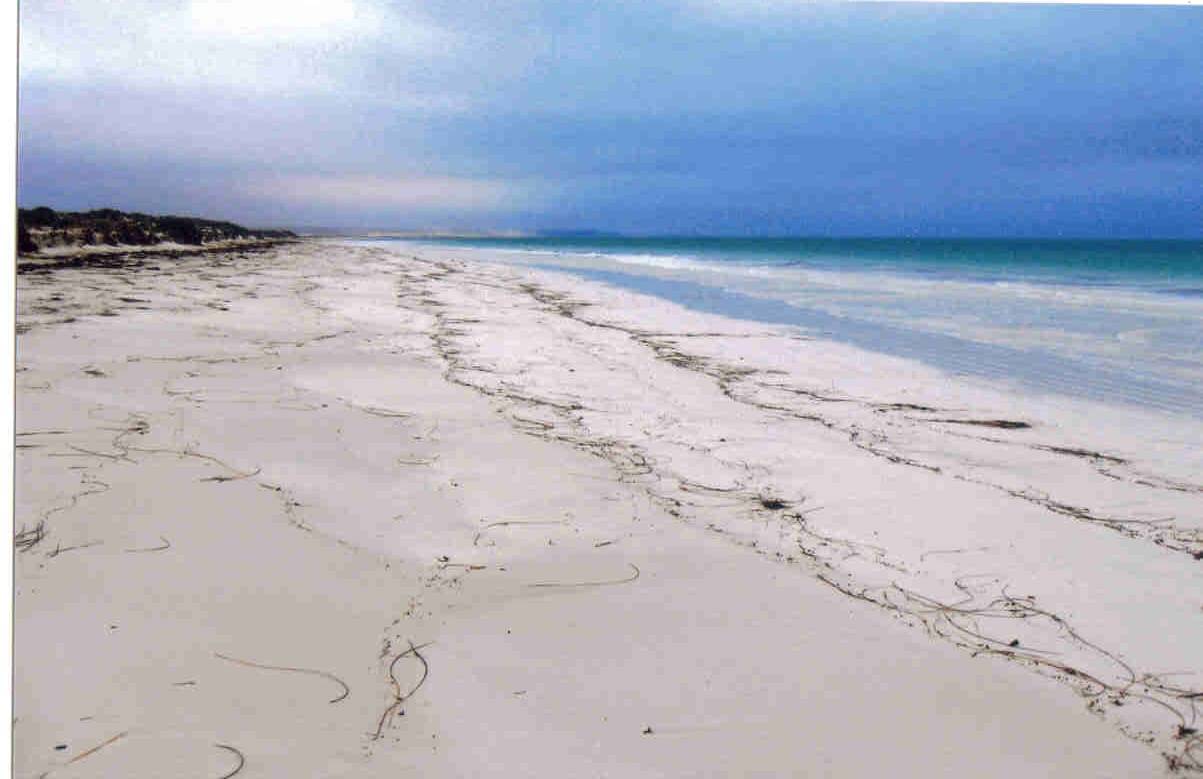 Eucla
