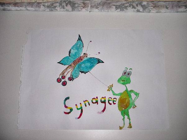 synagee