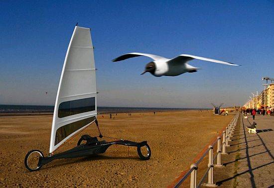 albatros 1 LdsuT 69