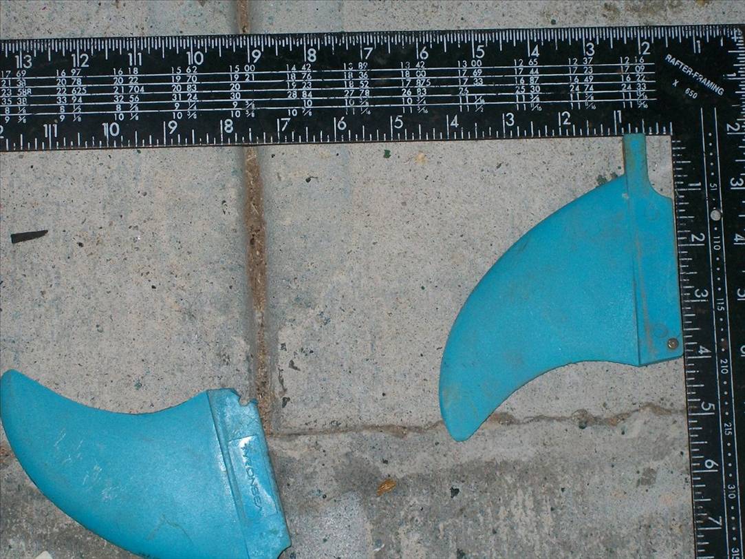 fins for paul