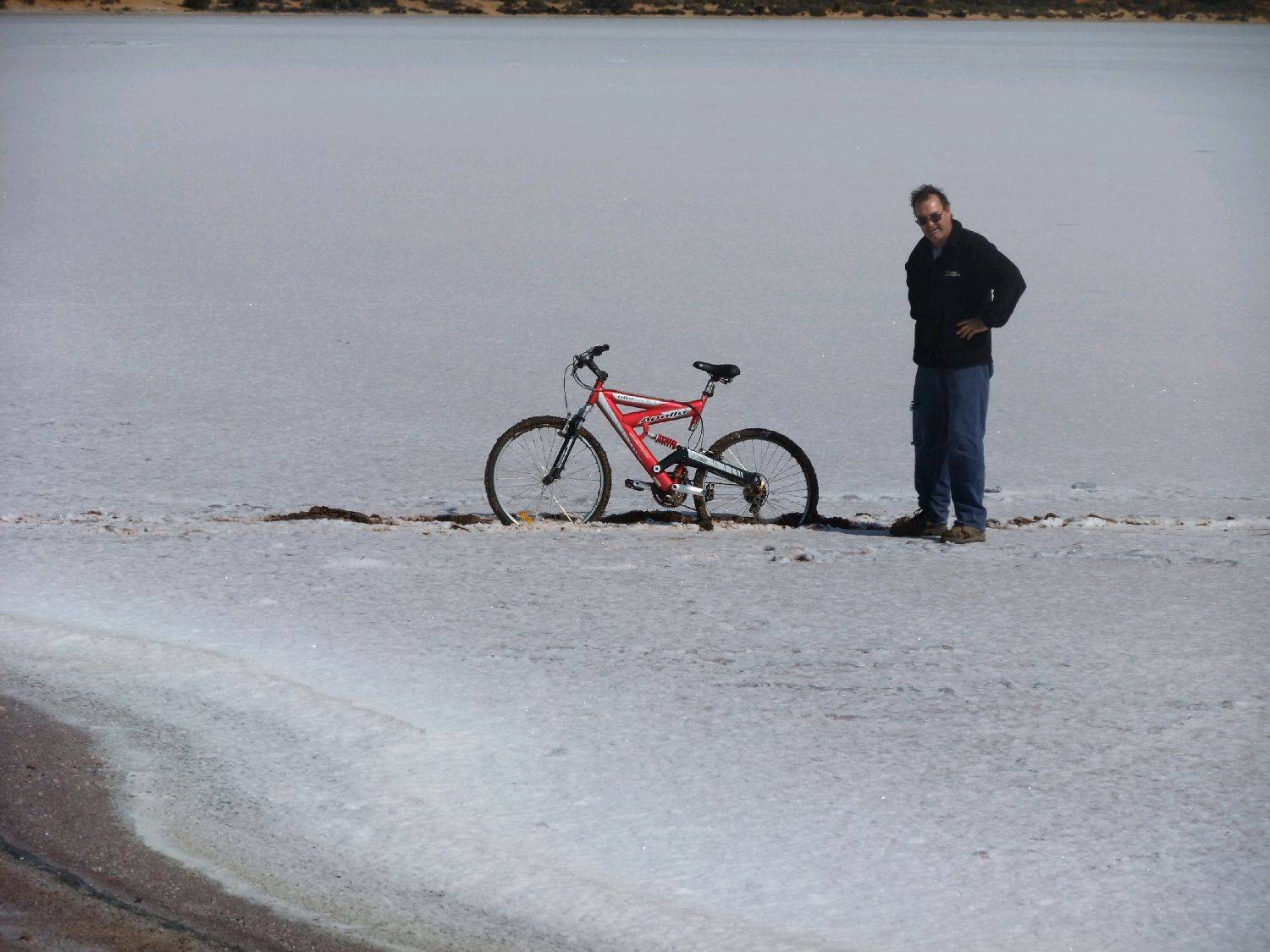 bikes in bogs