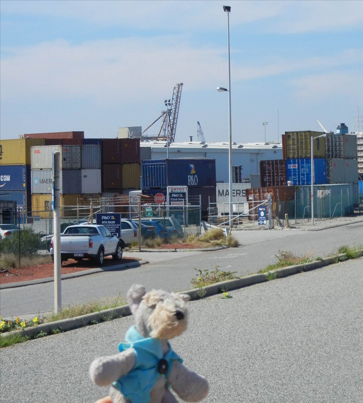 bobs big adventure