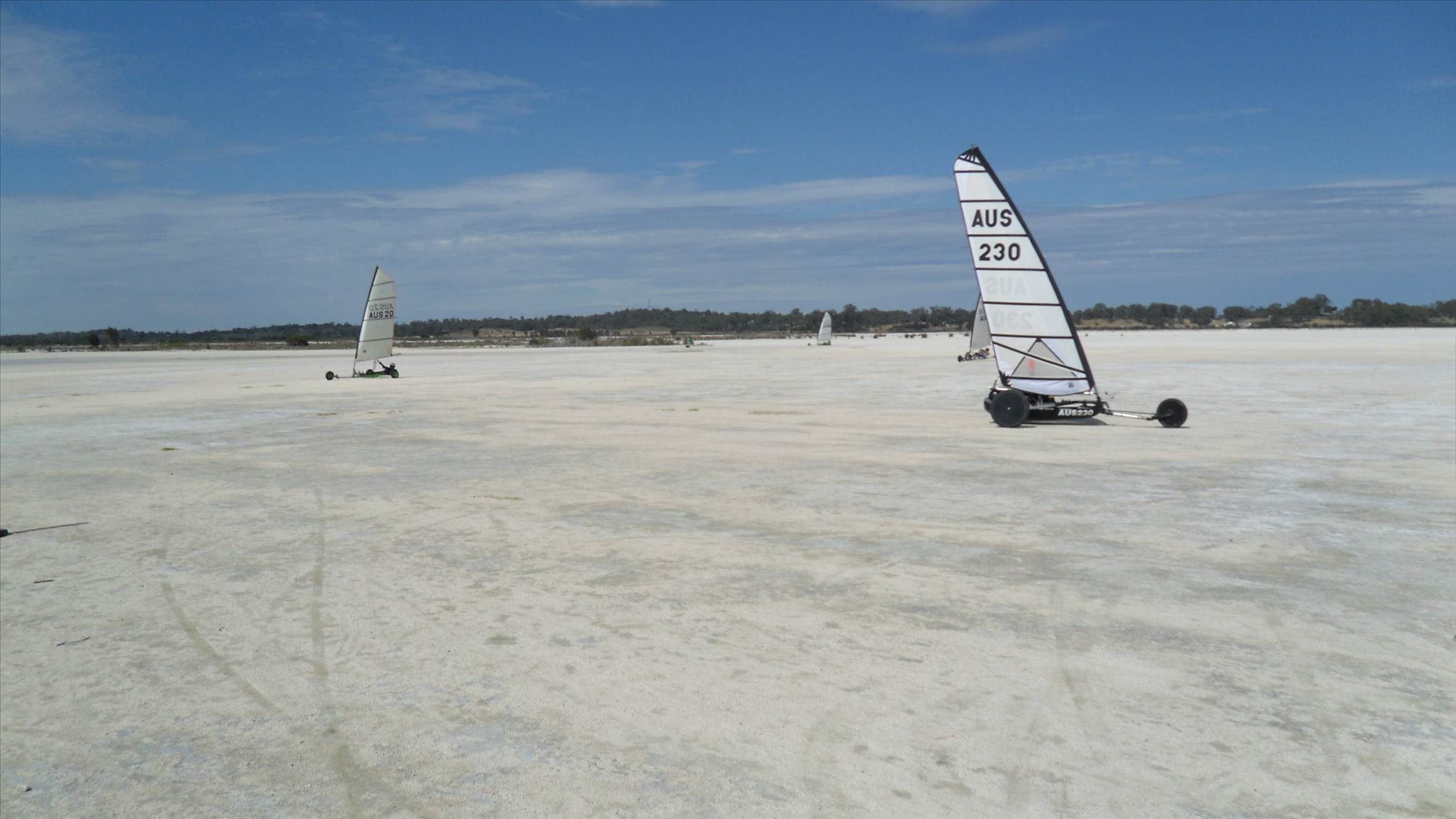 sandgropers