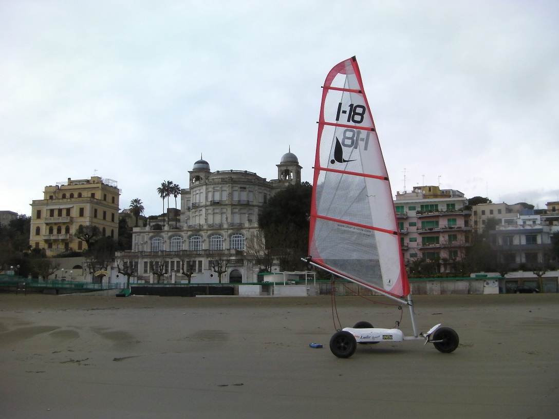 SEAGULL ANZIO