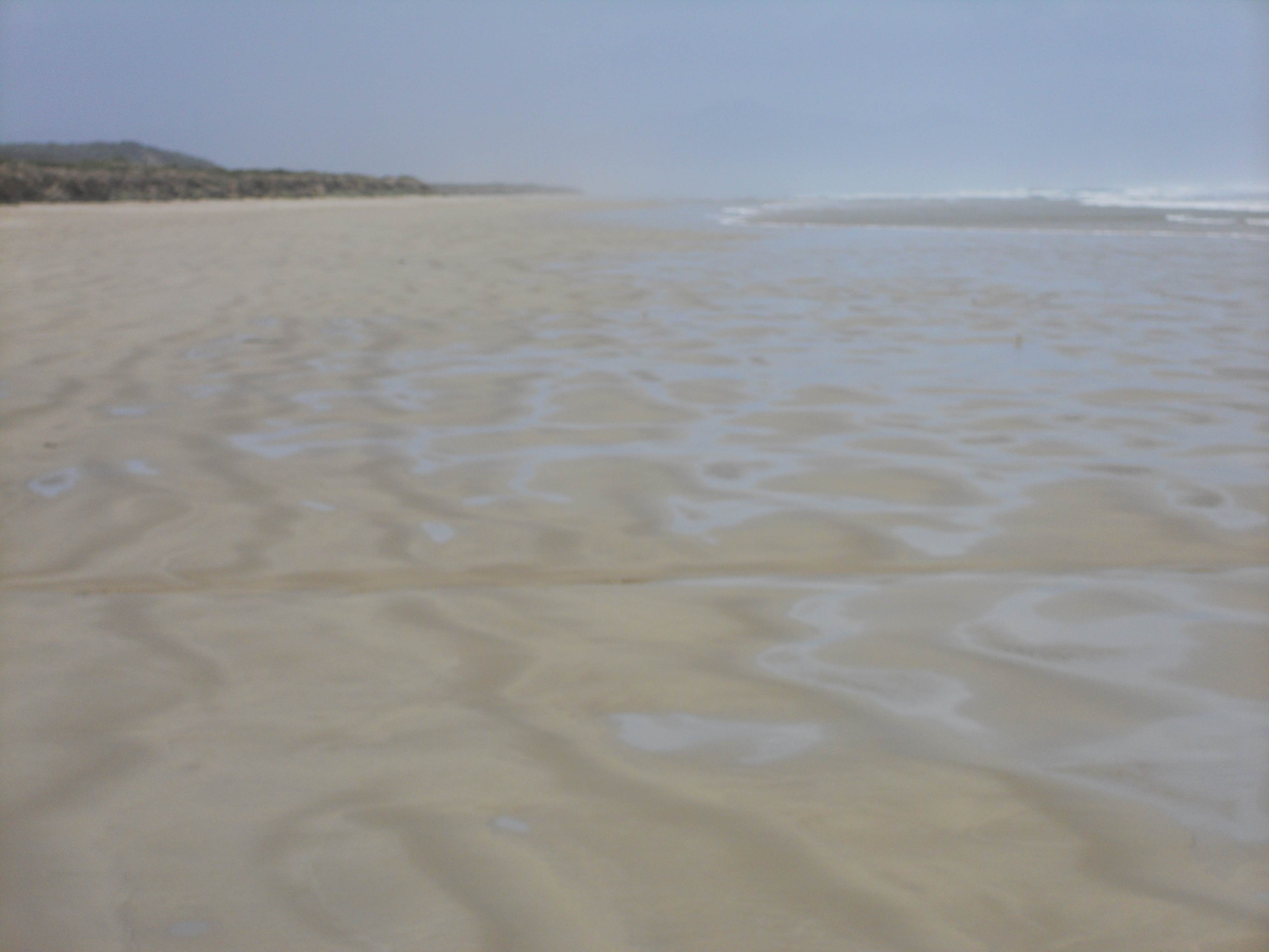 sandy point 02-08-13 007