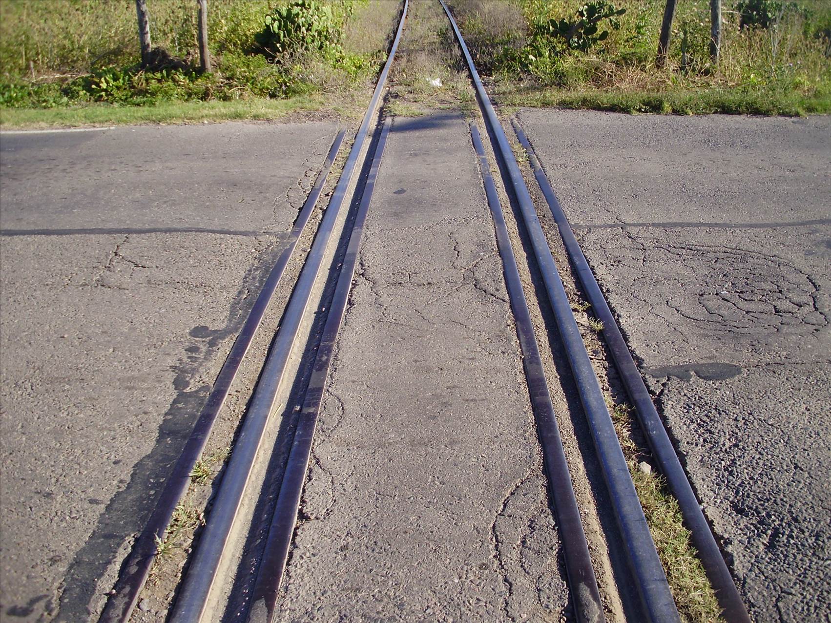 PC100349