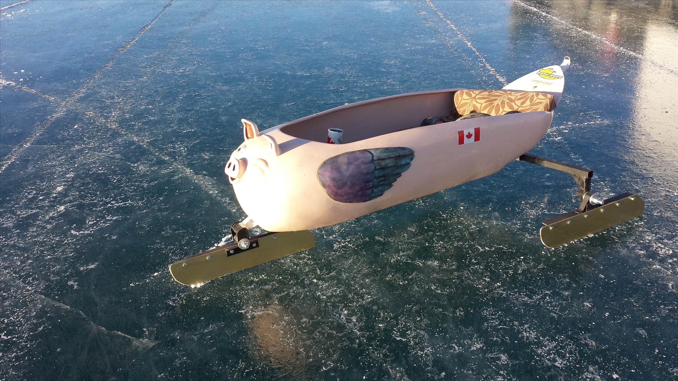 windpig on ice