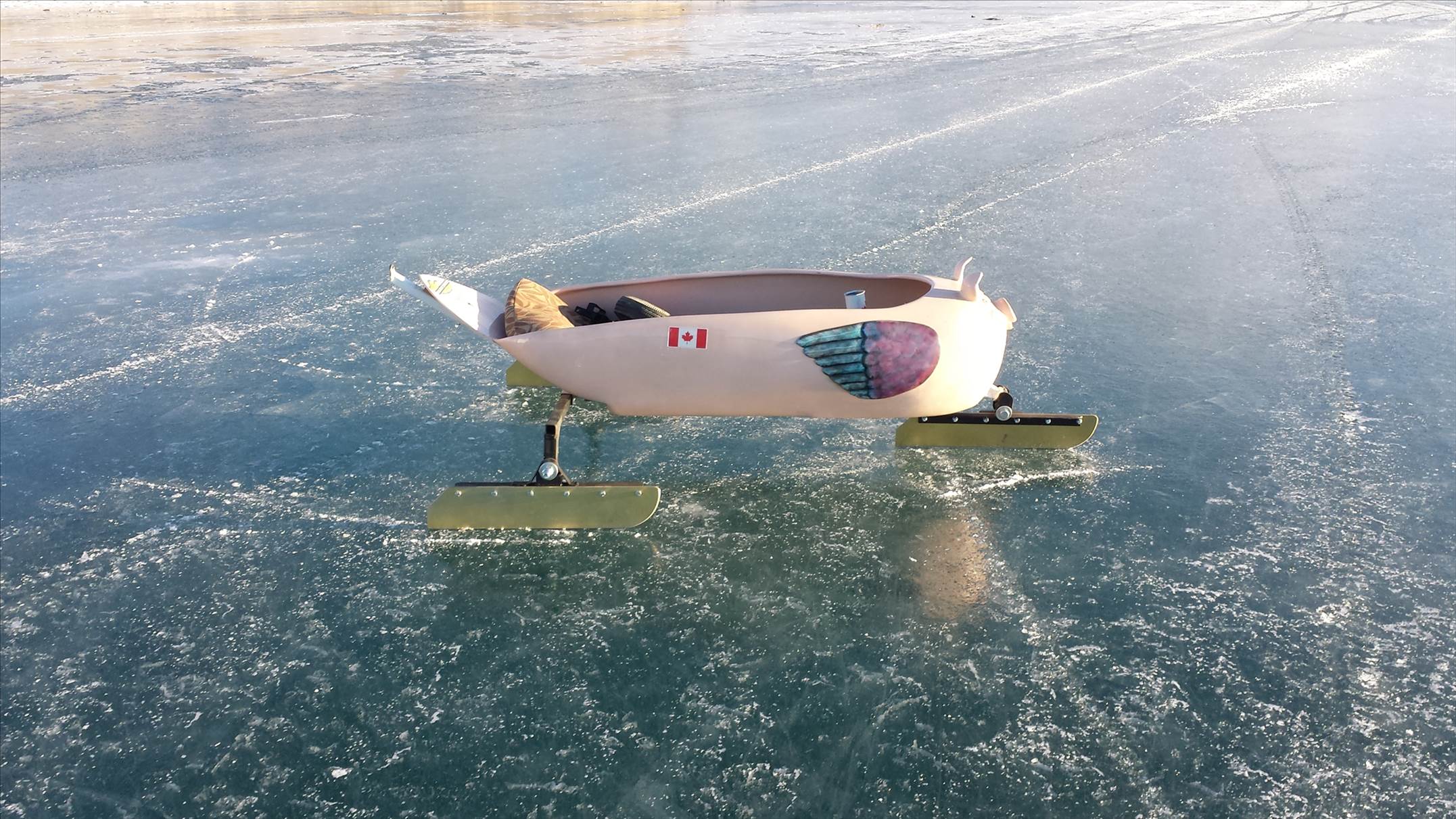 windpig on ice