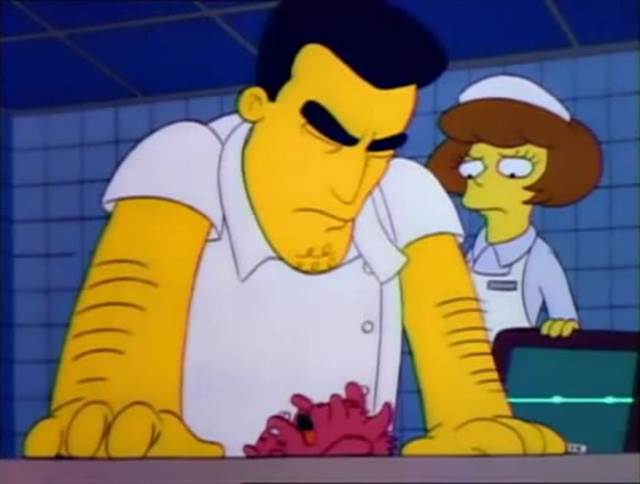 simpsons vet